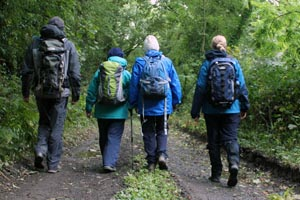 Broadford Ashford Walking Trails - Gleann Beag Loop