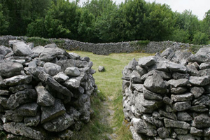 Mooghaun Bronze Age Hillfort Walking Trail