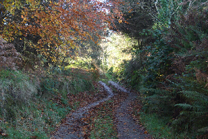 Broadford Ashford Walking Trails - Lough Ghé Way